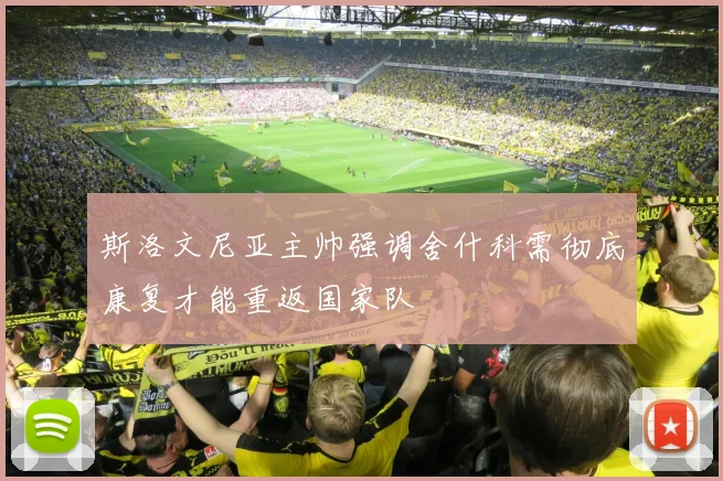 斯洛文尼亚主帅强调舍什科需彻底康复才能重返国家队